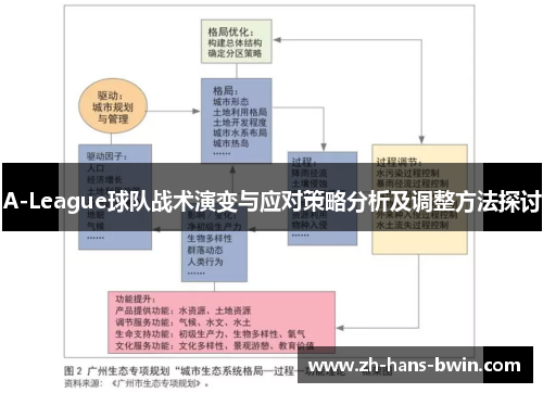 A-League球队战术演变与应对策略分析及调整方法探讨