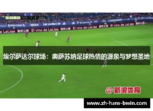 埃尔萨达尔球场：奥萨苏纳足球热情的源泉与梦想圣地