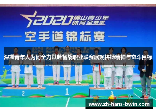 深圳青年人为何全力以赴备战职业联赛展现拼搏精神与奋斗目标