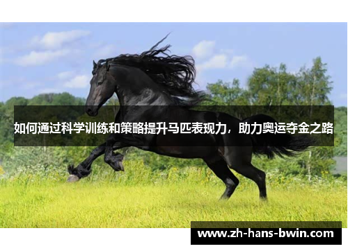 如何通过科学训练和策略提升马匹表现力，助力奥运夺金之路