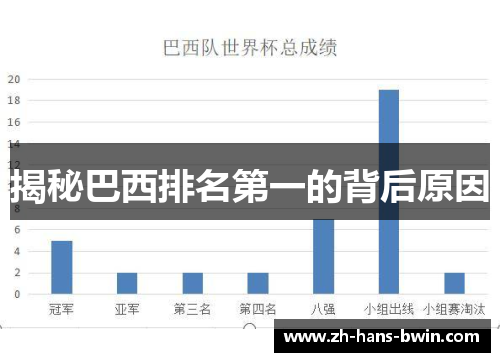 揭秘巴西排名第一的背后原因